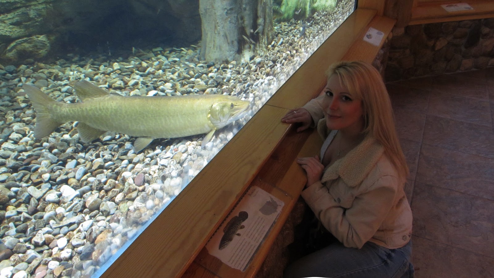 Just Jess Huge Fish at Cabela's