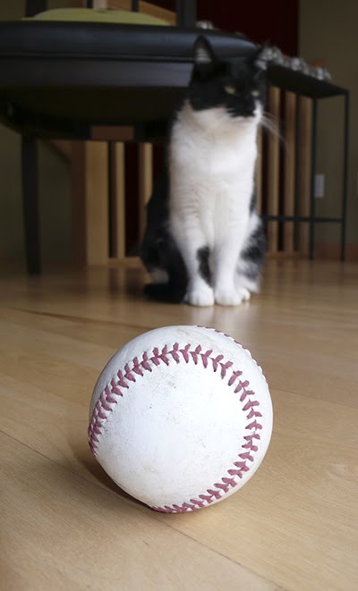 [katie+ball+blur.jpg]