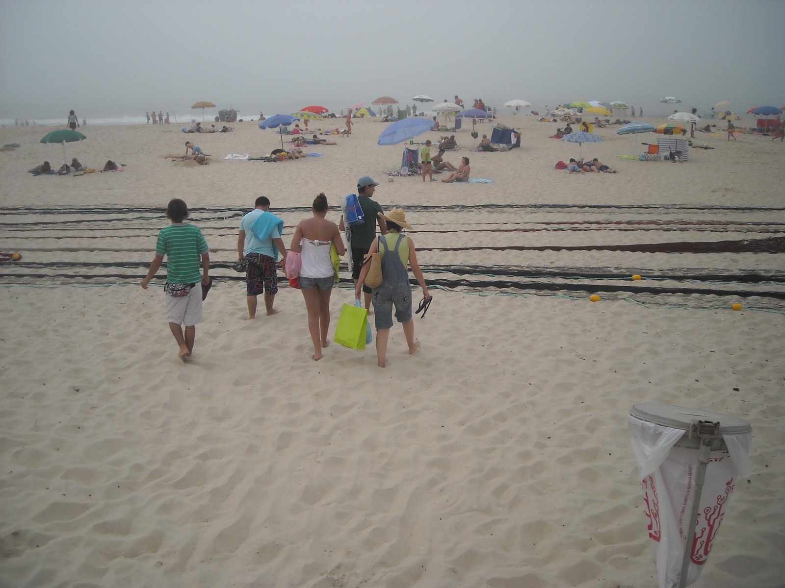 [DSCN0736.JPG]
