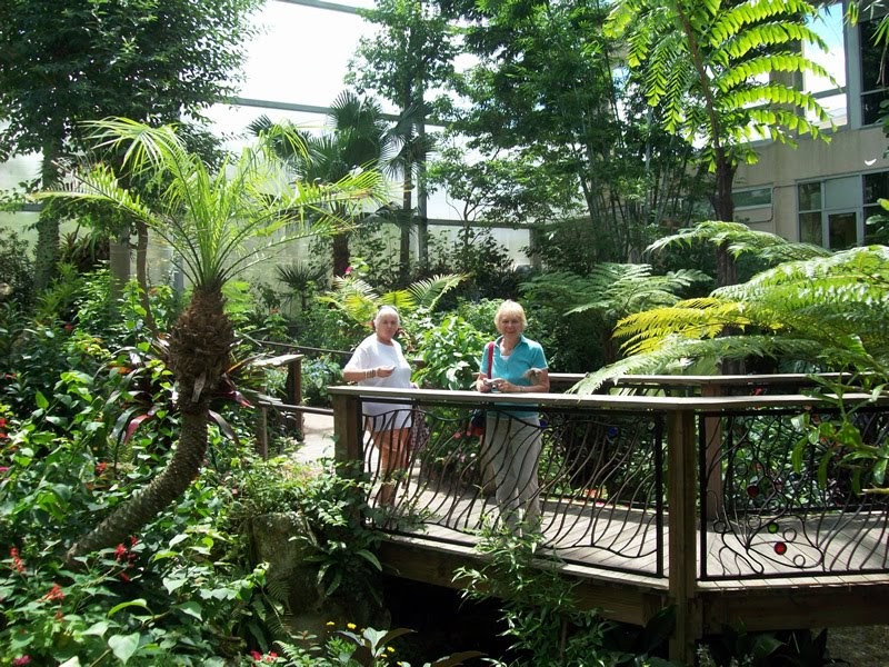 Aussies in Florida Butterfly House in Gainesville FL
