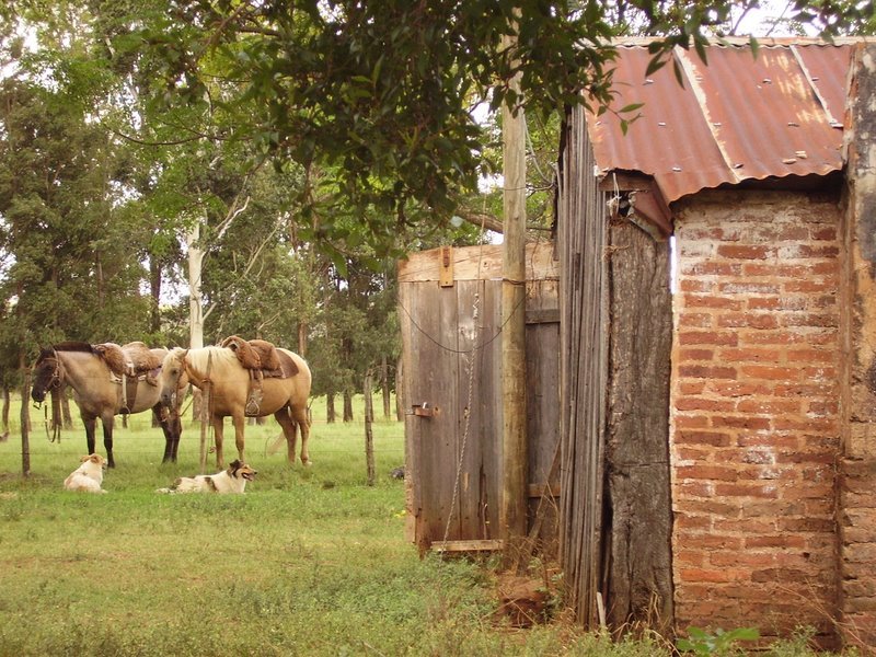 Refugio Nativo