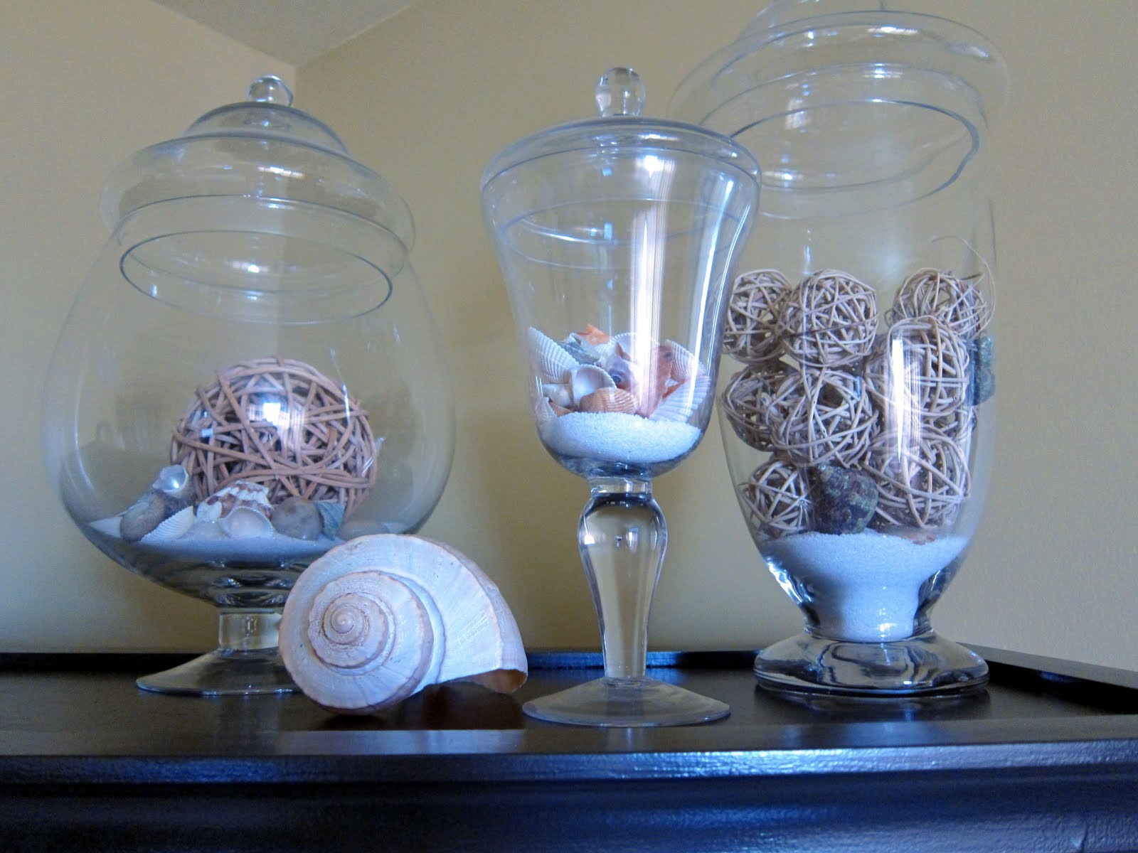 Shells in Apothecary Jars