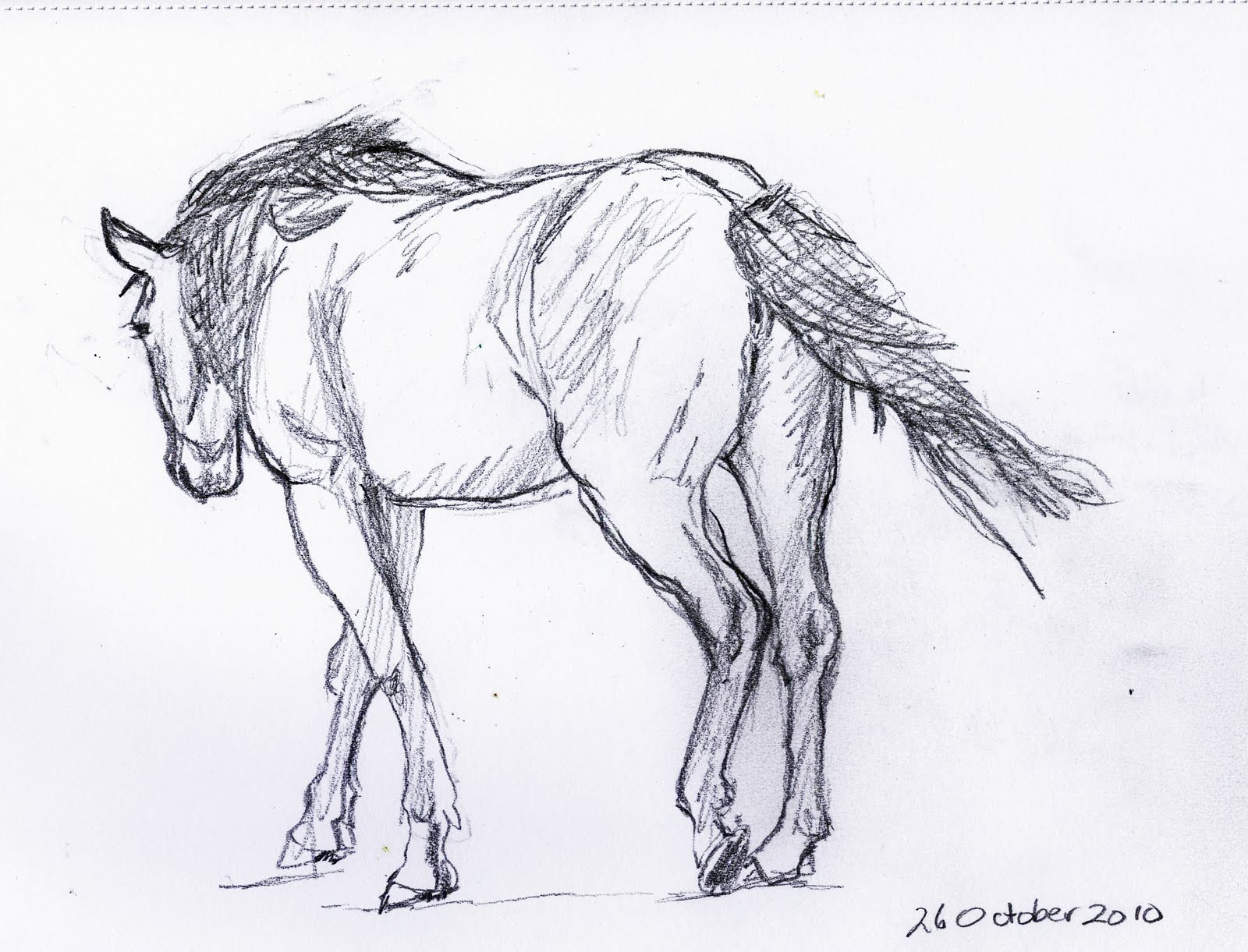 Frabjous Art Musings Horse Sketch 44
