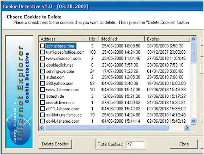 Publisher s Description