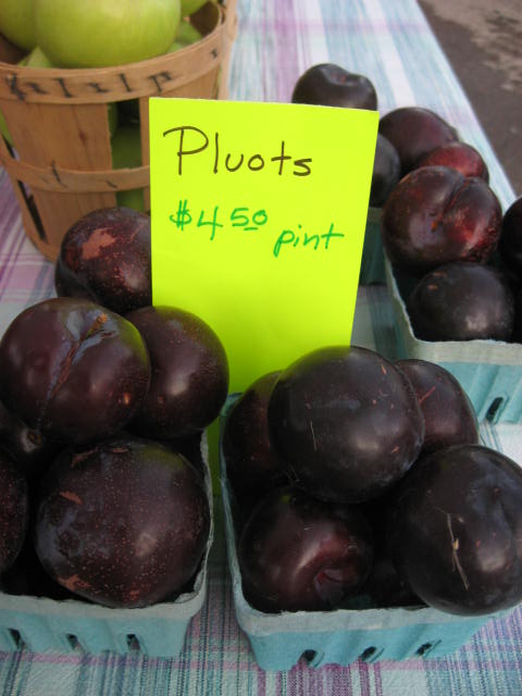 [pluots.JPG]