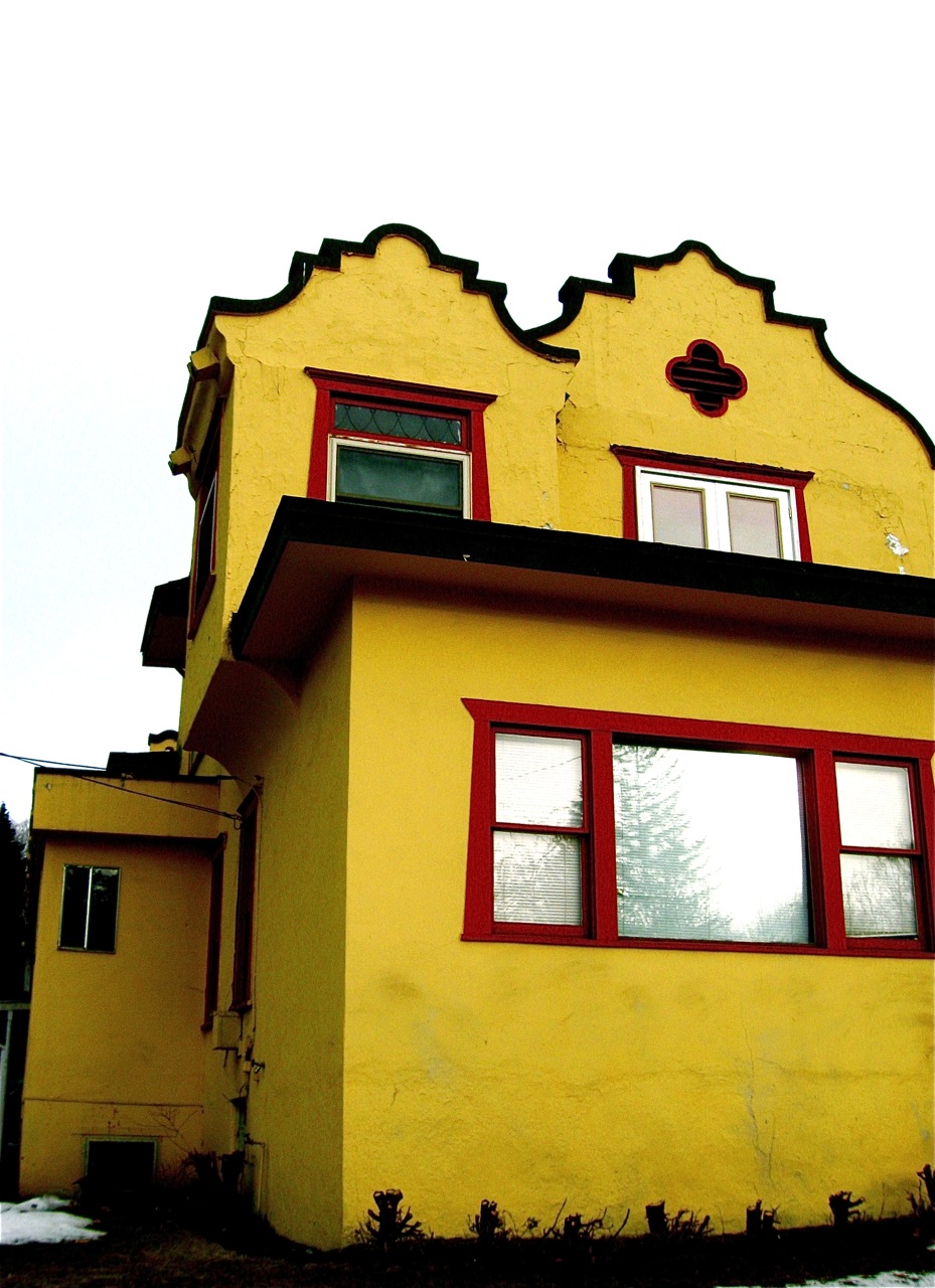 Begonvilli Ev Görsellik / Sarı Güzeldir