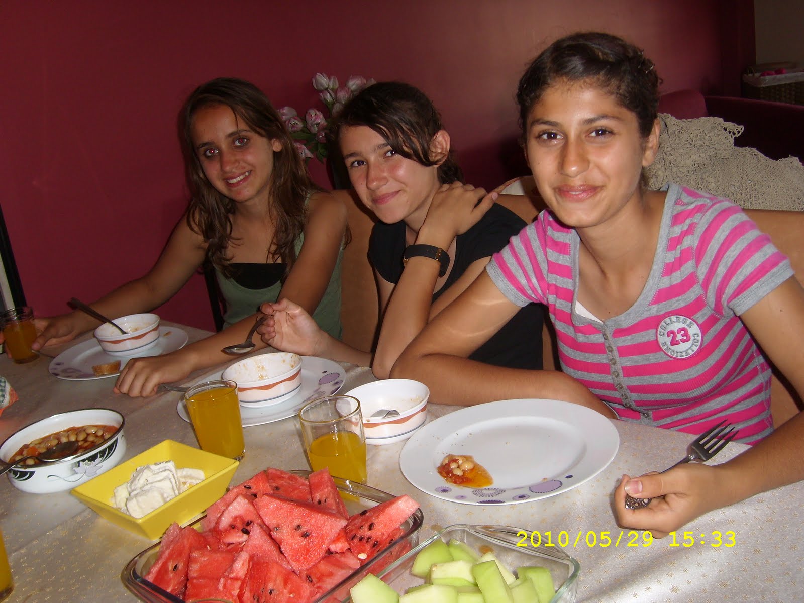 Begonvilli Ev Yaralı Anne Kedi ve Üç Yavrusu