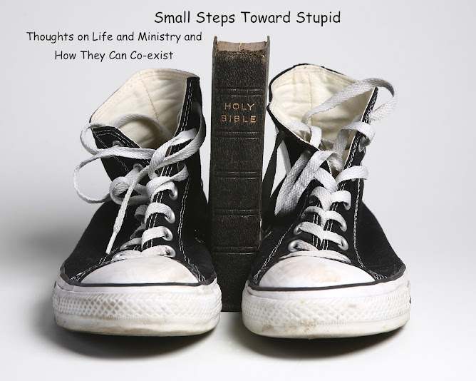 -Small Steps Toward Stupid