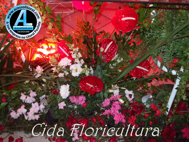 Cida Floricultura 8
