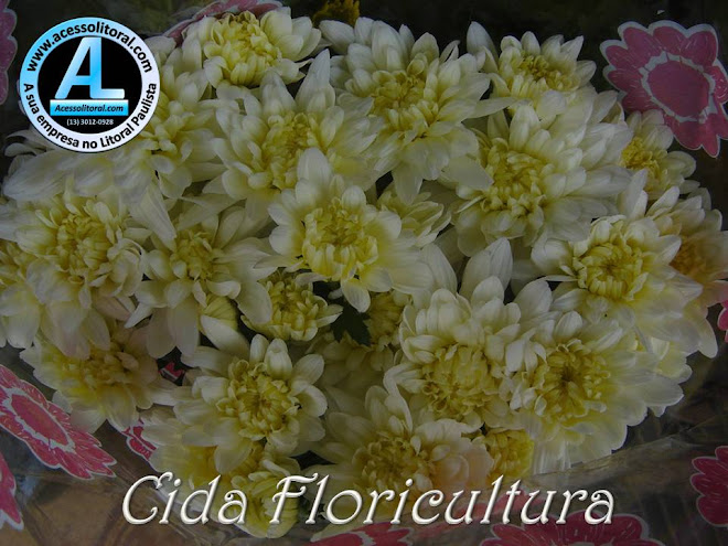 Cida Floricultura28