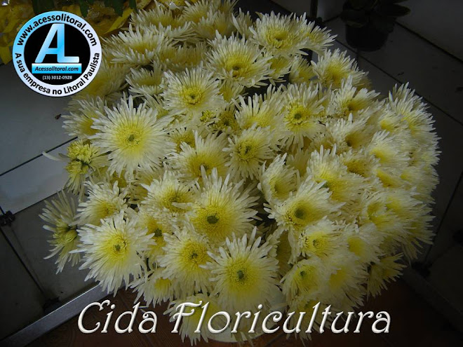 Cida Floricultura25