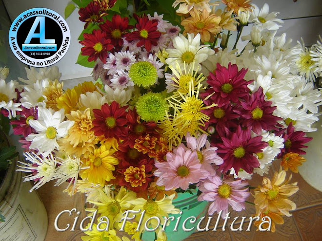 Cida Floricultura24