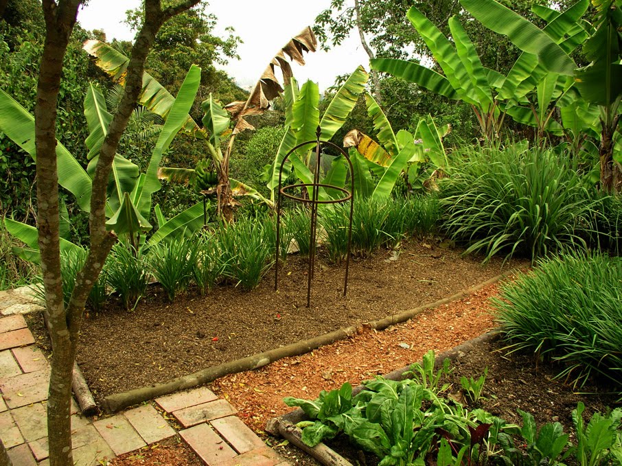 JARDINES DE GAIA/ Jardín Botánico Topotepuy en evolución: Taller de