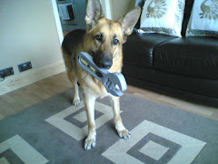 Oke the handy-dog
