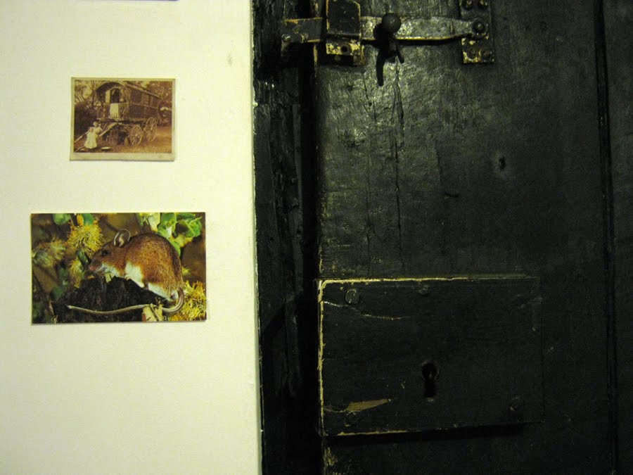 [latch+and+mouse.jpg]