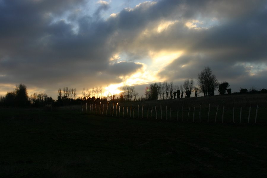 [suunset+on+the+appletree+stakes.jpg]