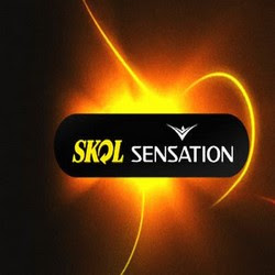 Download Skol Sensation Ocean of White 2010