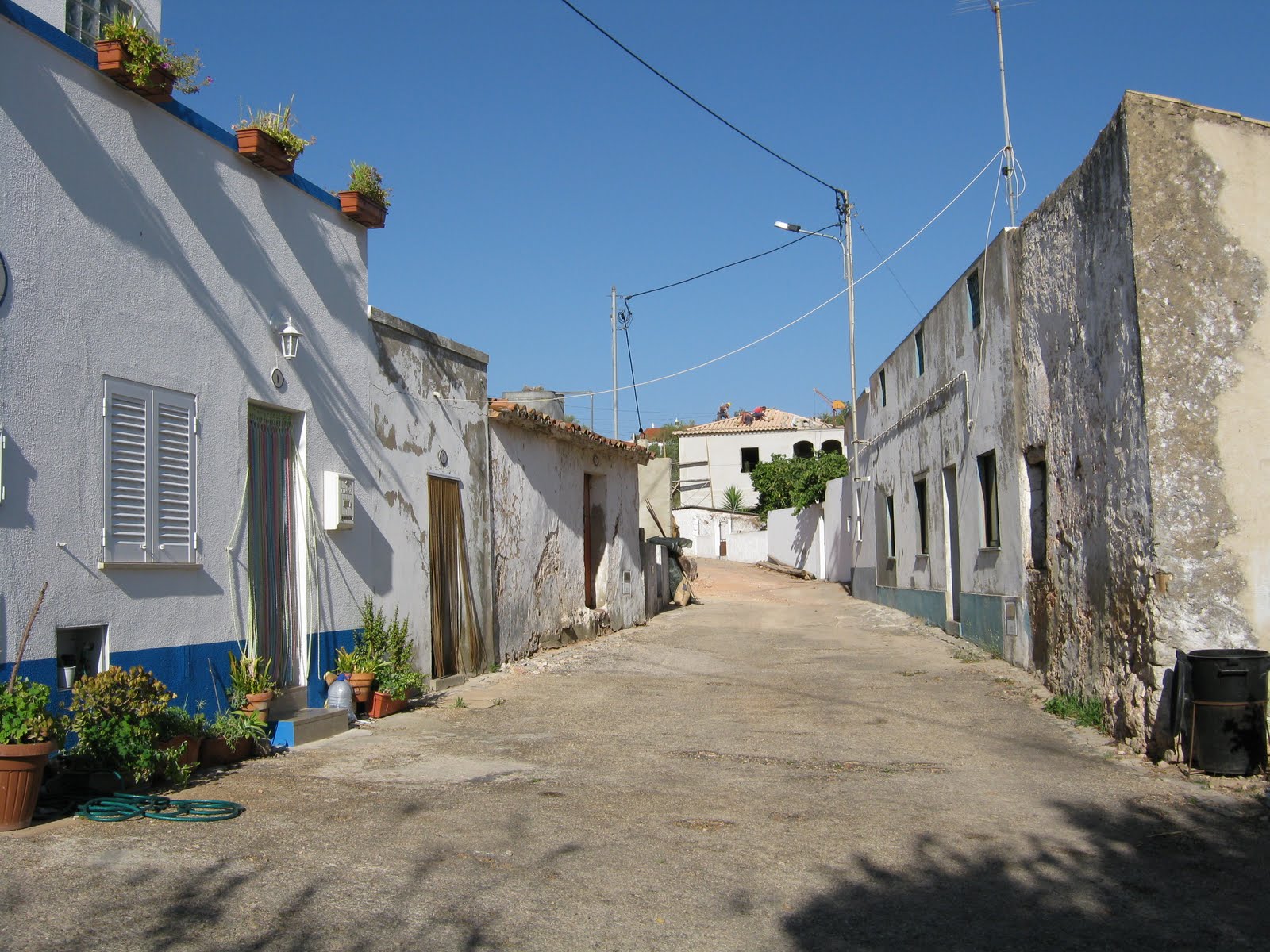[IMG_0918.JPG]