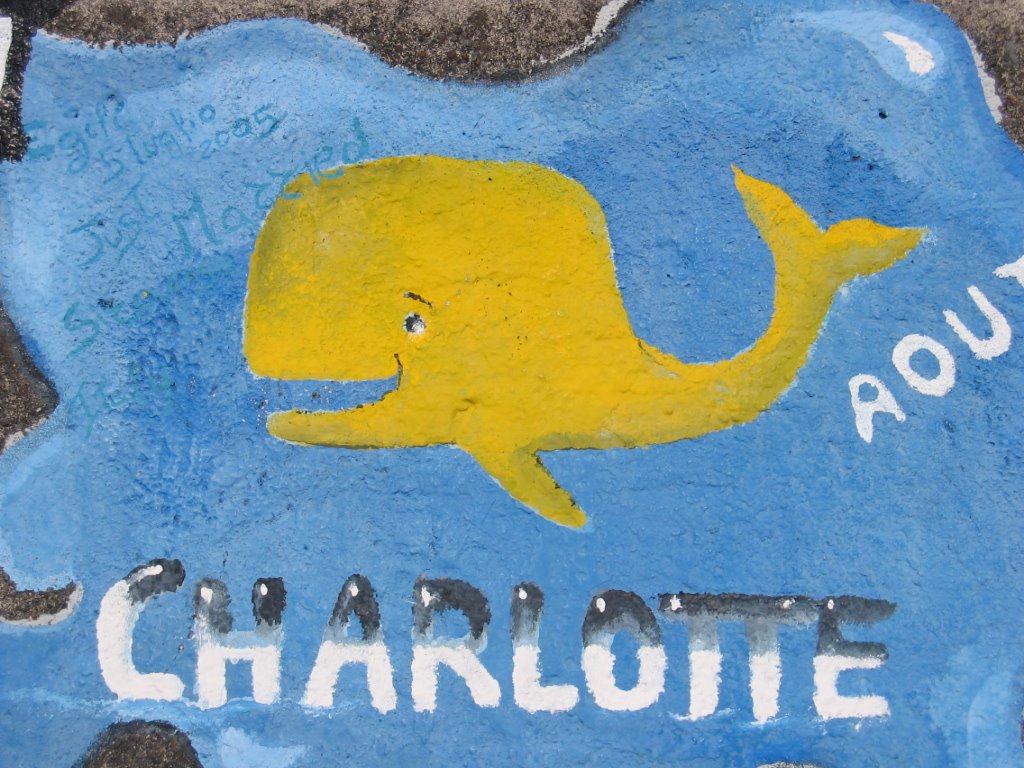 [Charlotte.JPG]
