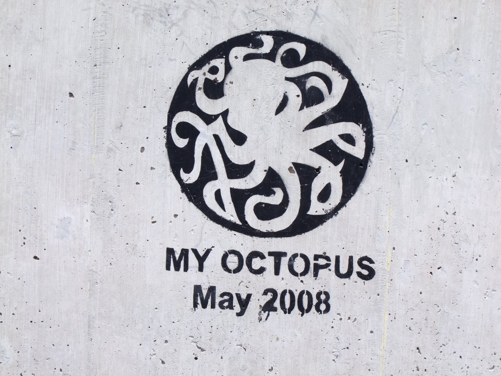 [my+octopus08.JPG]