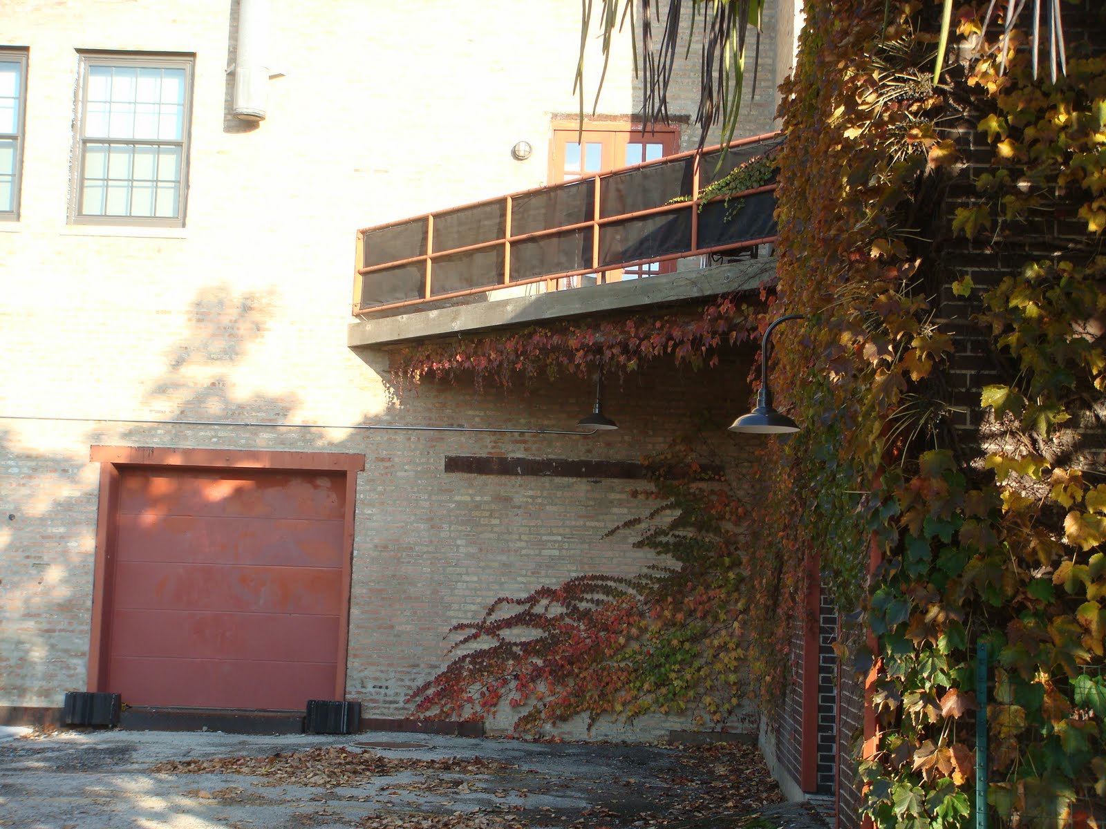 The Chicago Real Estate Local Chicago loves its Ivy, but at a price