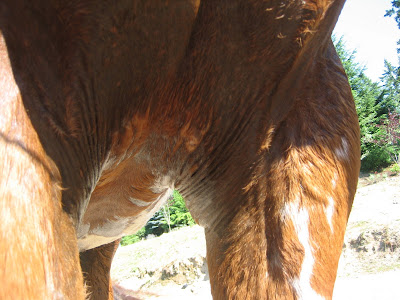 resume rencontre avec joe black film