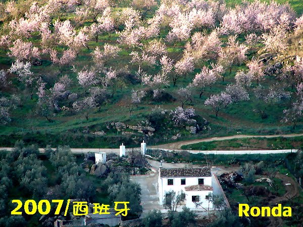 [2007+luwei+Ronda.JPG]
