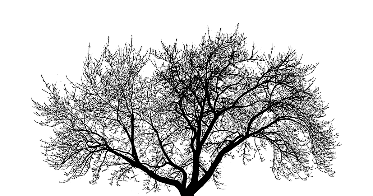 Forel's Free Trees: The Leaves Have Fallen