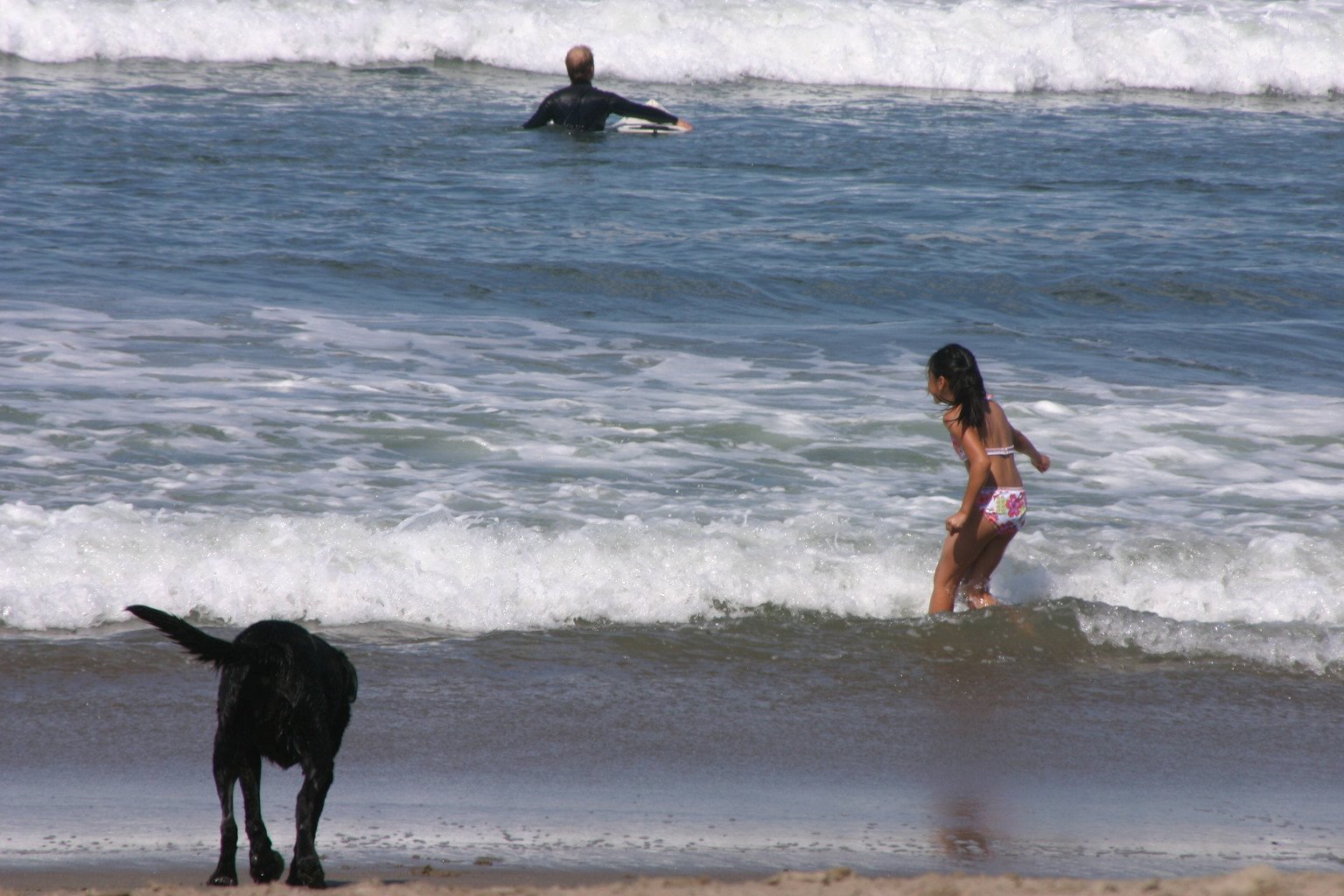 [IMG_4036.JPG]