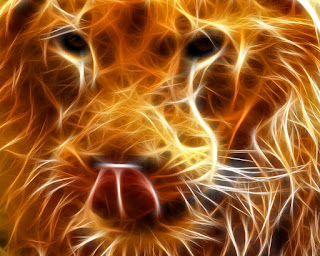 Download Lion Wallpapers