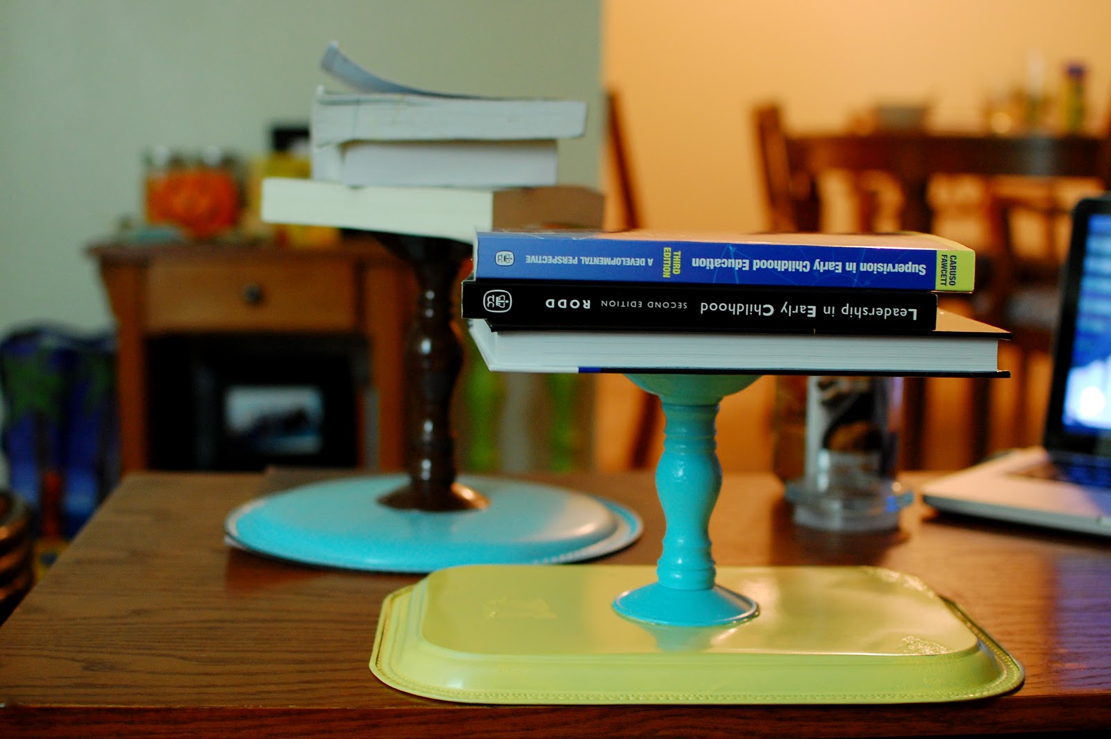 AlbiniPhotography DIY Dollar Store Trays