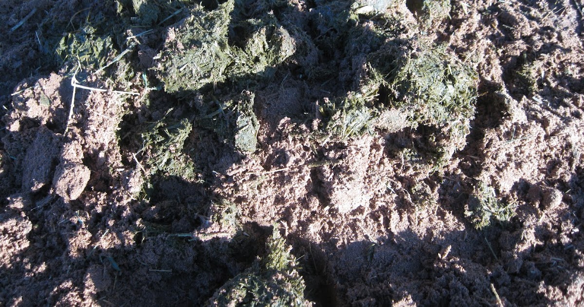 Functional Horsemanship Common Horse Problems Loose Manure