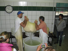 Lifting Fresh Made Parm to its Mold