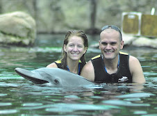 Swimming with Dolphins