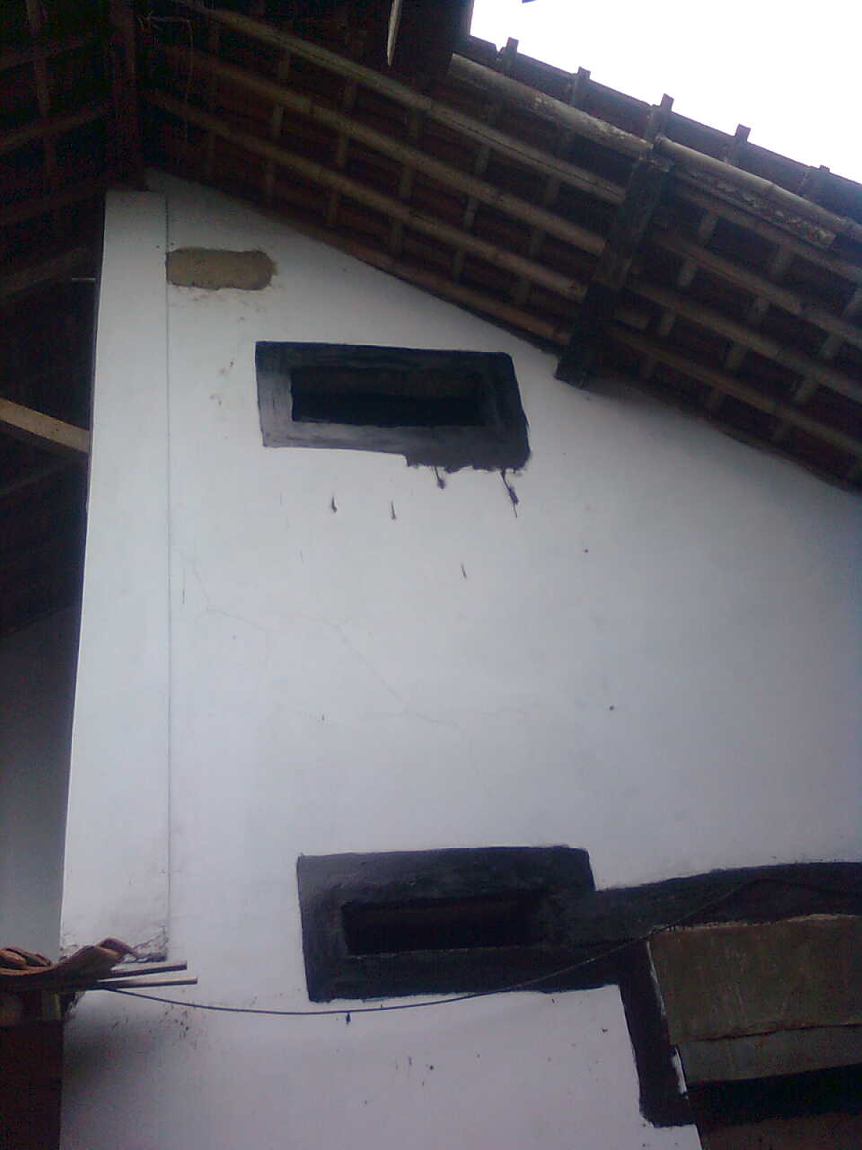 Budi Daya Burung Walet Juli 2010