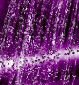 -- My Own Purple Rain --