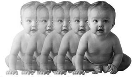 baby cloning