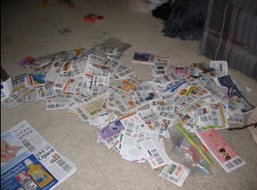 [mess+coupons.bmp]