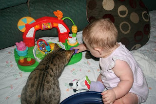 Дети и кошки
