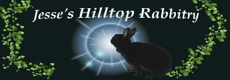 Jesse's Hilltop Rabbitry