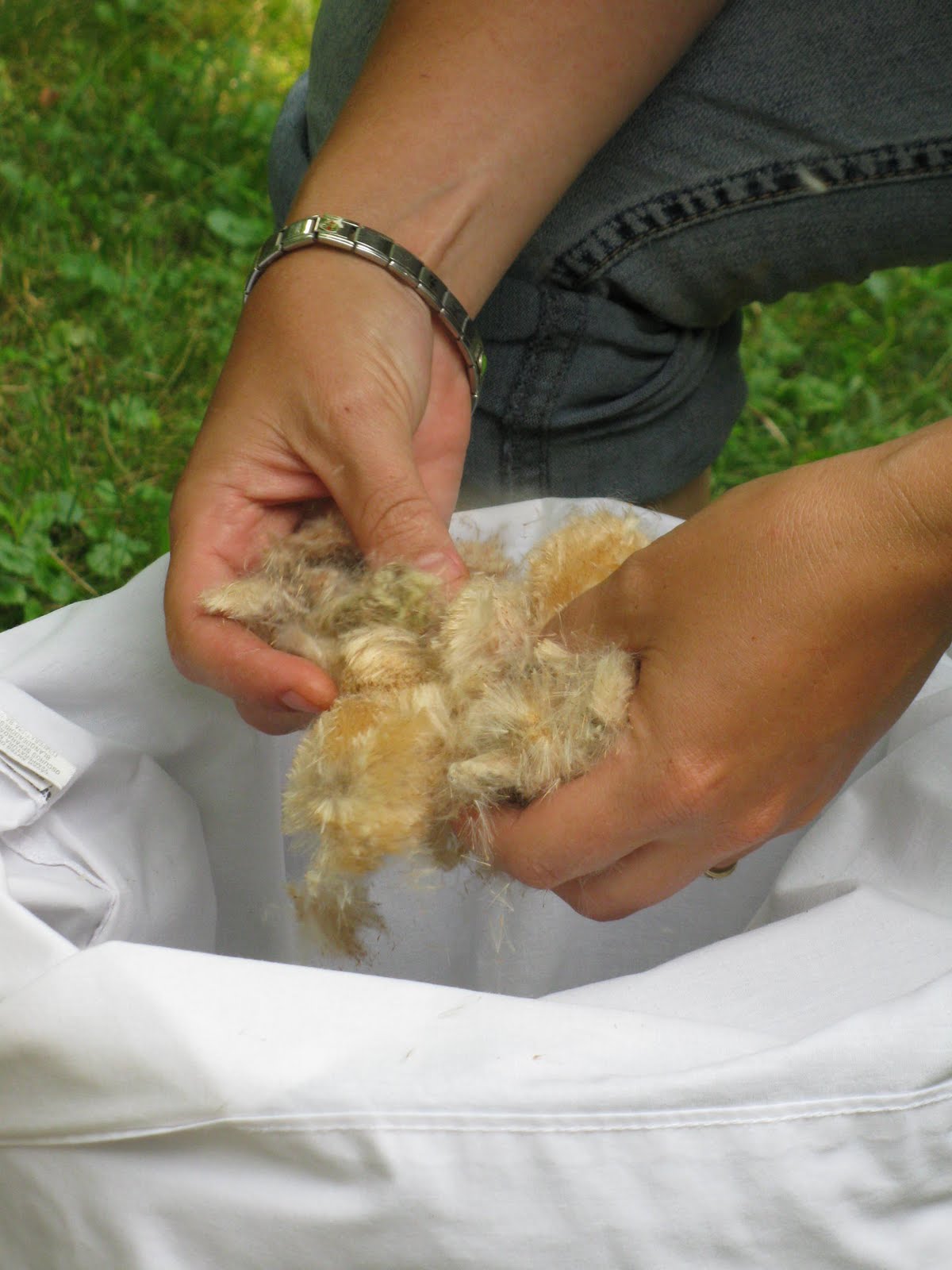 Simply Homemaking How to Make a Cattail Fluff Pillow