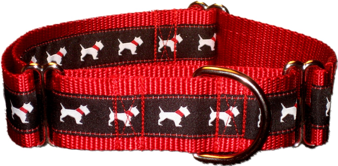 Sirius Republic Blog Martingale Collars 101