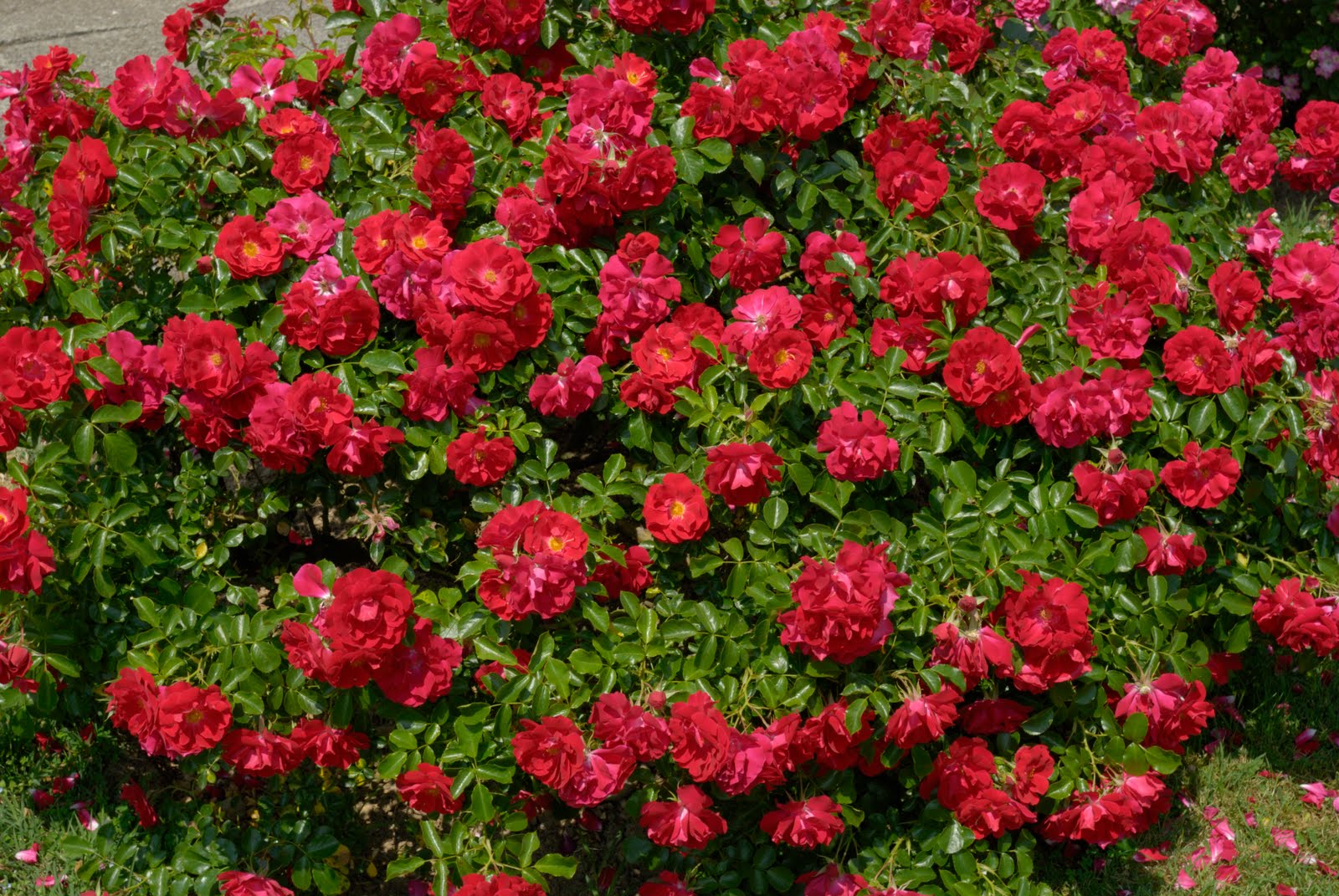 Come elaborare l'abbandono