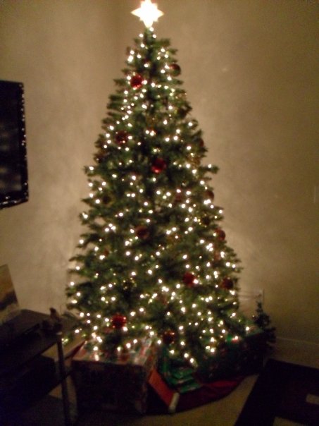 [tree.jpg]