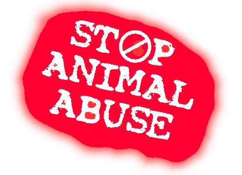 Animal Abuse