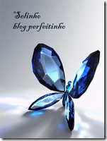 [BlogPerfeitinho_migui[2].png]