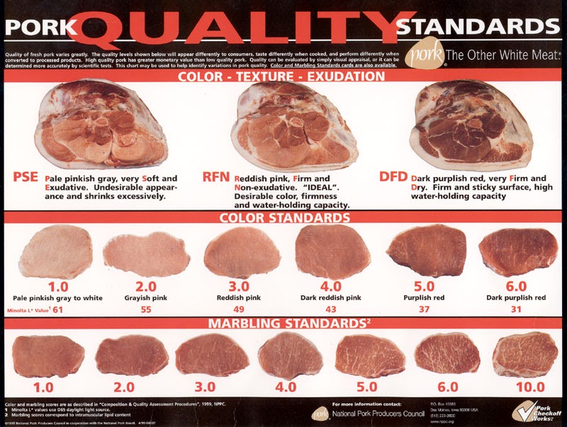 NEWS AND ARTICLE Pork Quality Standards