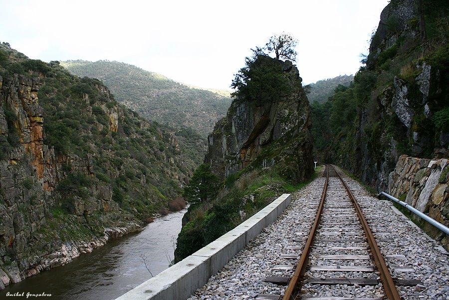 [alinha74.jpg]