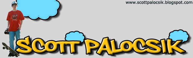 Scott Palocsik