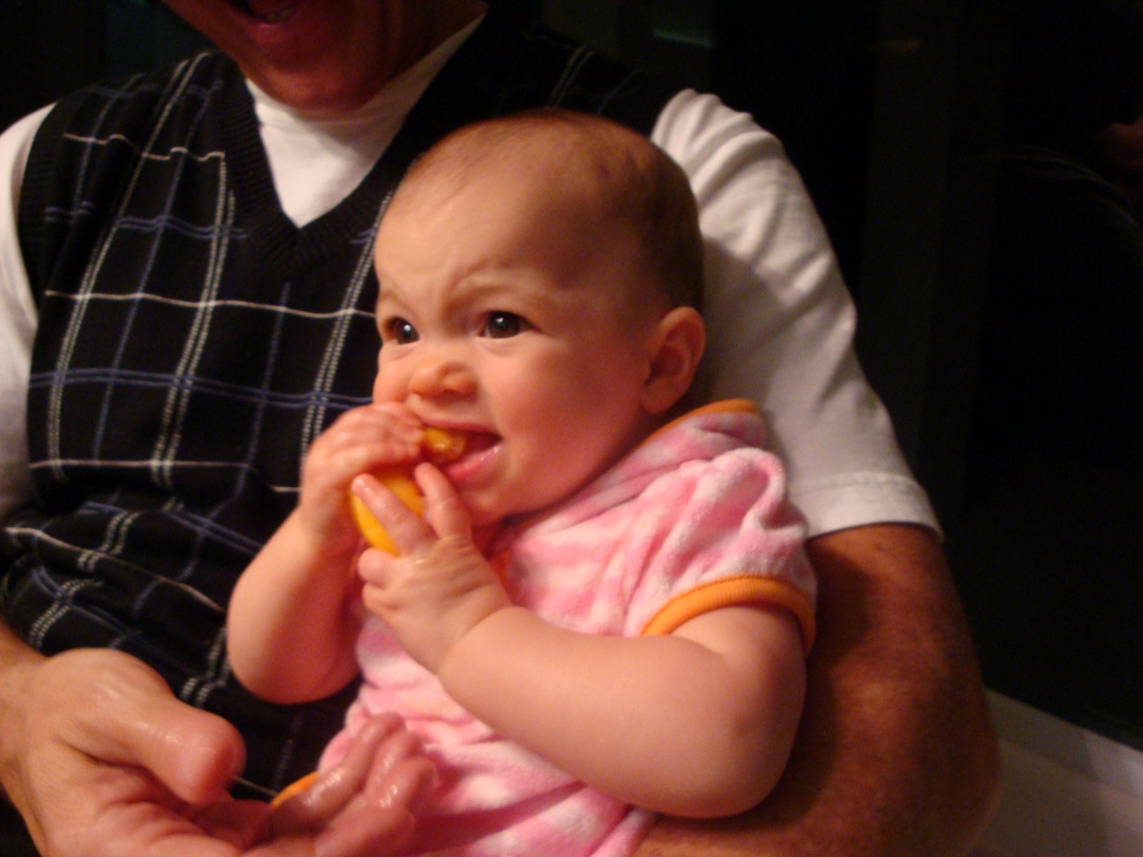 [DSC01967.JPG]